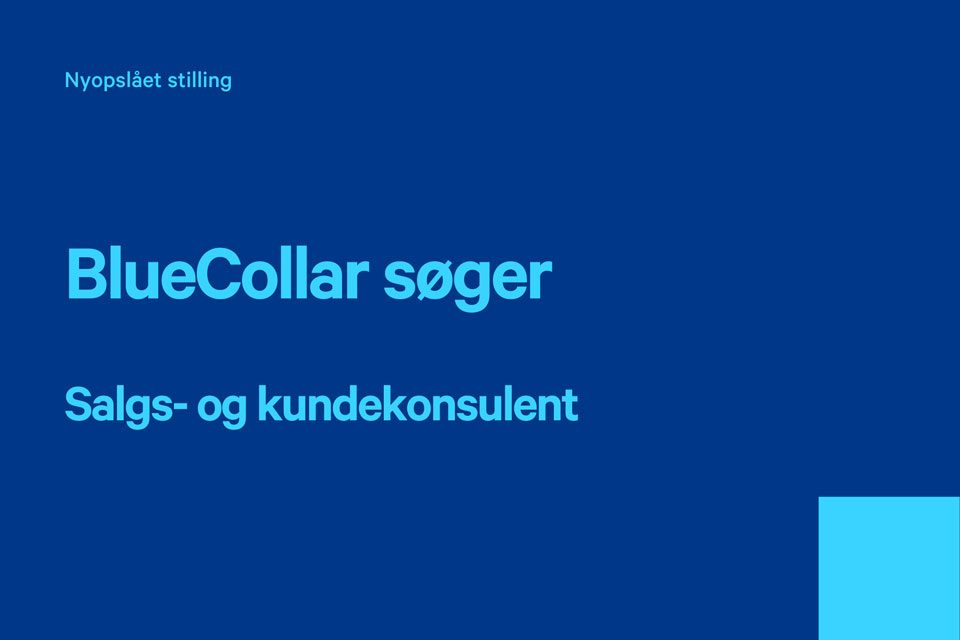bluecollar-soeger-salgs-og-kundekonsulent